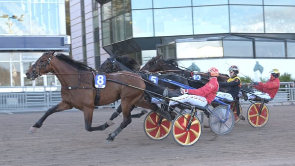 Foto: LARS JAKOBSSON / TR BILD