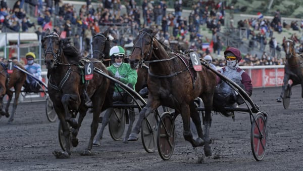 Foto: Jean-Luc Lamaère | Le Trot