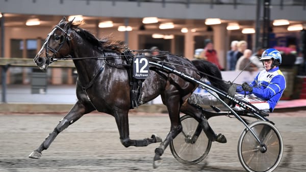 Foto: MALIN ALBINSSON / TR BILD