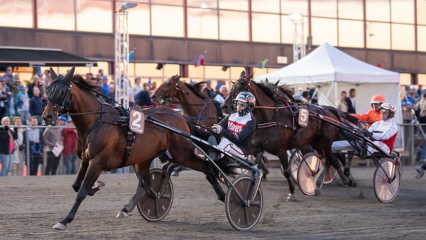 Foto: MIKAEL ROSENQUIST / TR BILD