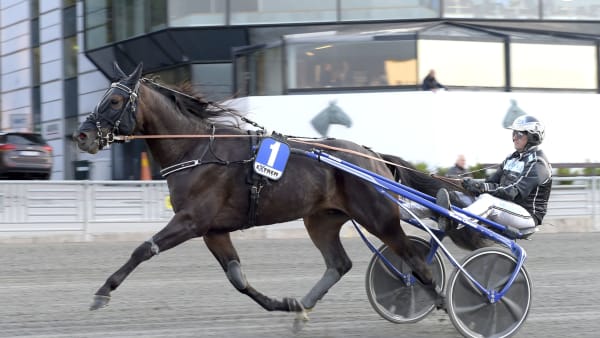 Foto: LARS JAKOBSSON / TR BILD