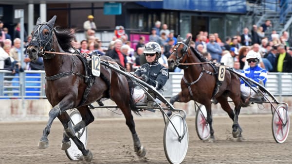 Foto: LARS JAKOBSSON / TR BILD
