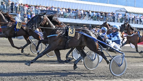 Foto: MALIN ALBINSSON / TR BILD