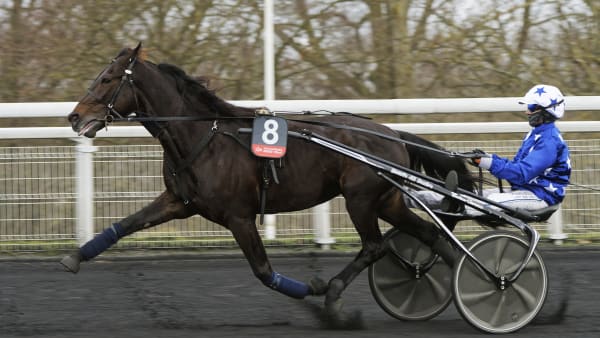 Foto: Jean-Luc Lamaère | Le Trot