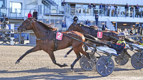 Foto: MALIN ALBINSSON / TR BILD