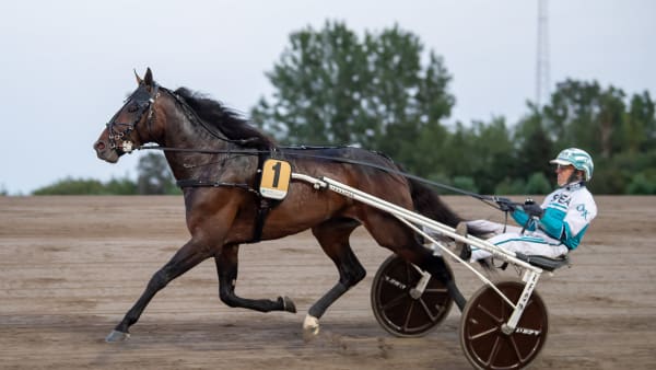 Foto: MIKAEL ROSENQUIST / TR BILD