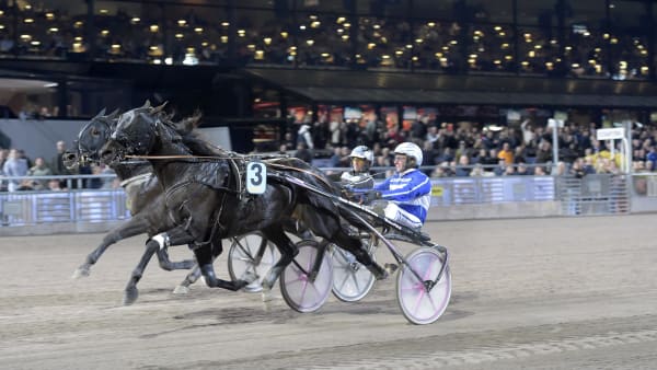 Foto: LARS JAKOBSSON / TR BILD