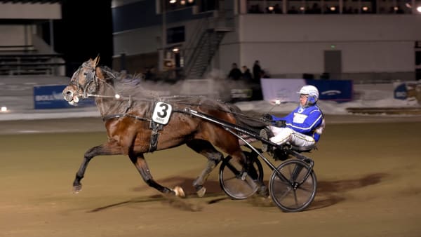 Foto: LARS JAKOBSSON / TR BILD