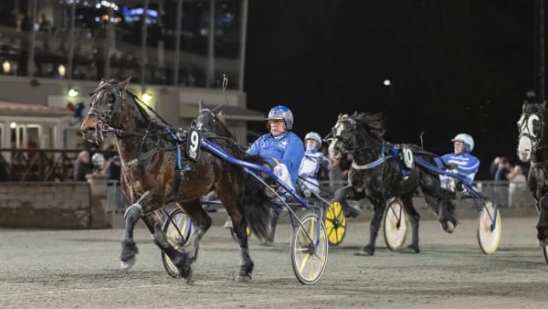 Foto: LENA EMMOTH / TR BILD