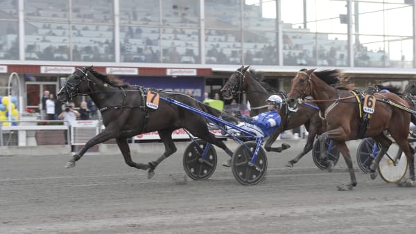 Foto: LARS JAKOBSSON / TR BILD