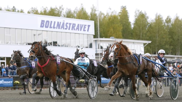 Foto: MARIA HOLMÉN / TR BILD