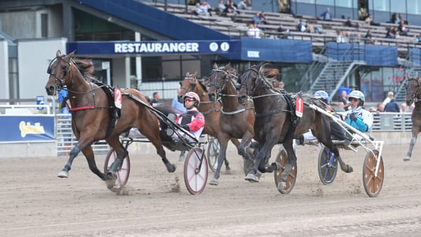 Foto: LARS JAKOBSSON / TR BILD