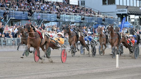 Foto: LARS JAKOBSSON / TR BILD
