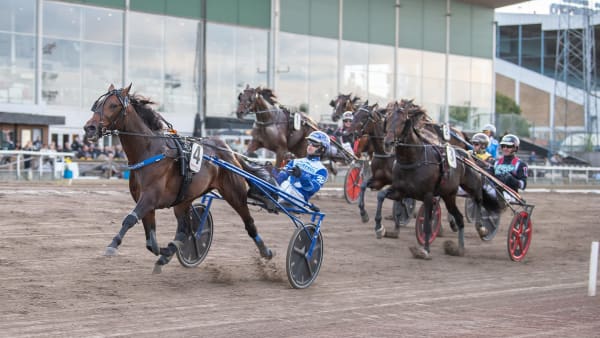 Foto: MIKAEL ROSENQUIST / TR BILD