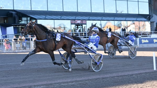 Foto: LARS JAKOBSSON / TR BILD