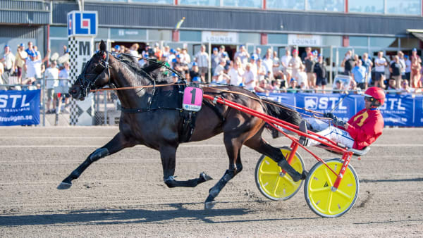 Foto: MIKAEL ROSENQUIST / TR BILD