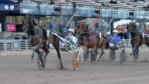 Foto: LARS JAKOBSSON / TR BILD