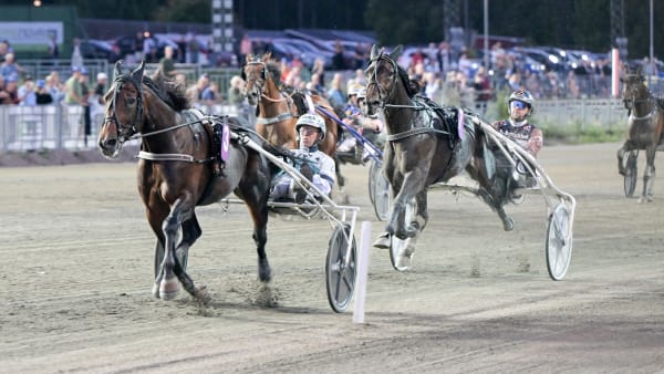 Foto: LARS JAKOBSSON / TR BILD
