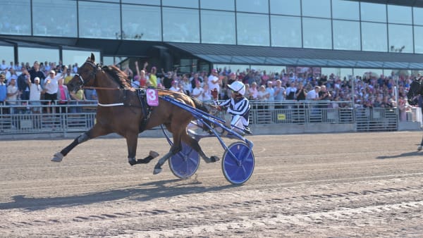 Foto: LARS JAKOBSSON/TR BILD