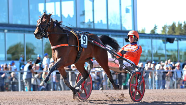 Foto: MARIA HOLMÉN / TR BILD