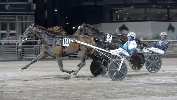 Foto: LARS JAKOBSSON / TR BILD