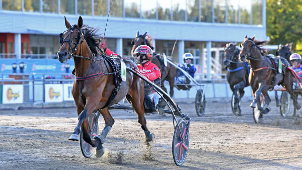 Foto: MALIN ALBINSSON / TR BILD