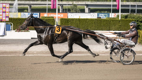 Foto: LENA EMMOTH / TR BILD