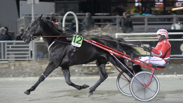 Foto: LARS JAKOBSSON / TR BILD