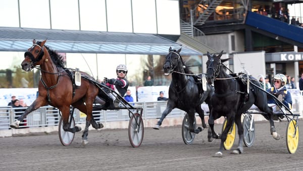 Foto: LARS JAKOBSSON / TR BILD