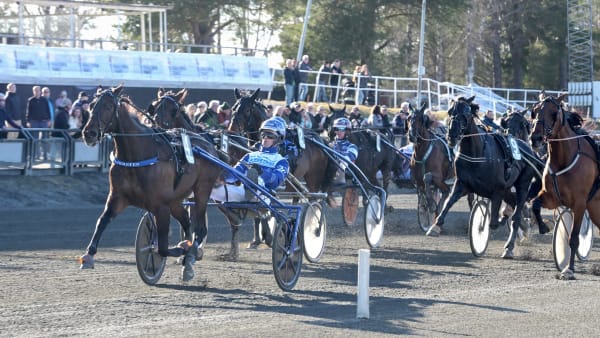 Foto: LARS JAKOBSSON / TR BILD