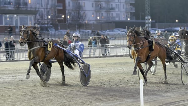 Foto: LARS JAKOBSSON / TR BILD