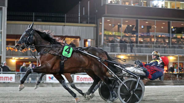 Foto: MARIA HOLMÉN / TR BILD