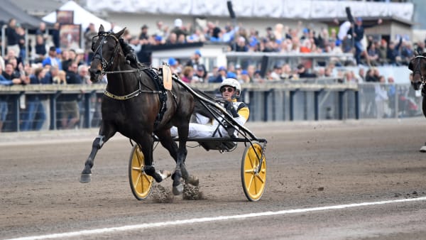Foto: MALIN ALBINSSON / TR BILD