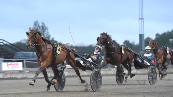 Foto: LARS JAKOBSSON / TR BILD