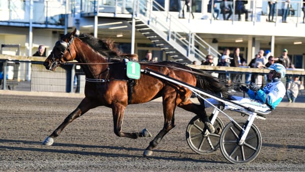 Foto: MALIN ALBINSSON / TR BILD