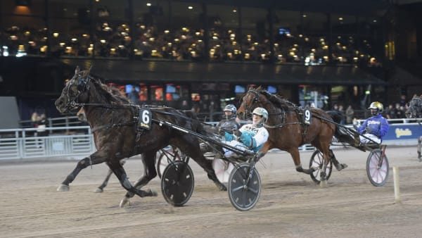 Foto: LARS JAKOBSSON / TR BILD