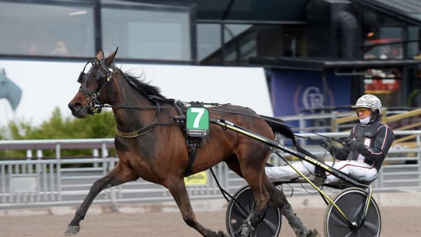 Foto: LARS JAKOBSSON / TR BILD