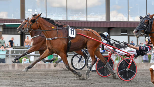 Foto: MALIN ALBINSSON / TR BILD