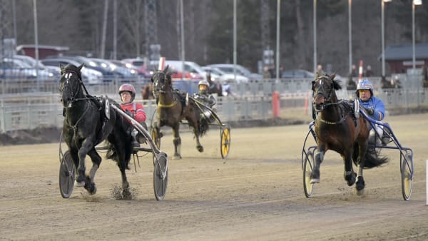 Foto: LARS JAKOBSSON / TR BILD