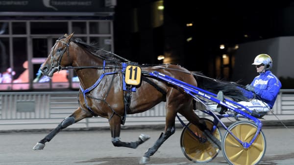 Foto: LARS JAKOBSSON / TR BILD