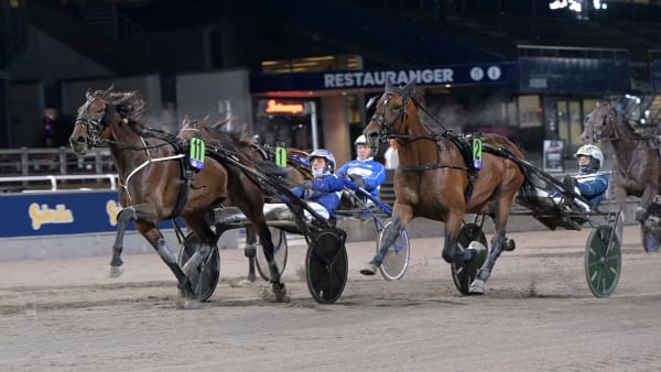 Foto: LARS JAKOBSSON / TR BILD