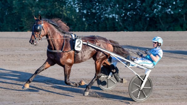 Foto: MIKAEL ROSENQUIST / TR BILD