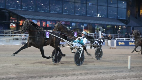 Foto: LARS JAKOBSSON / TR BILD