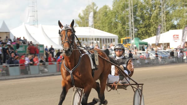 Foto: LARS JAKOBSSON / TR BILD