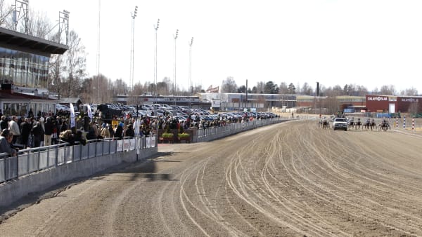 Foto: MICKE GUSTAFSSON / TR BILD