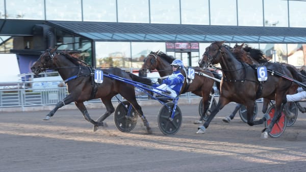 Foto: LARS JAKOBSSON / TR BILD