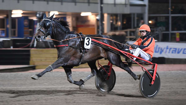 Foto: MALIN ALBINSSON / TR BILD