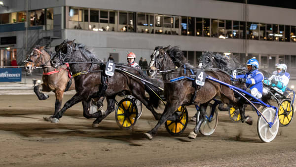 Foto: LENA EMMOTH / TR BILD