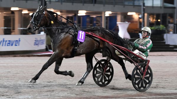 Foto: MALIN ALBINSSON / TR BILD