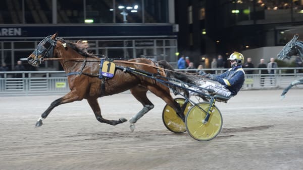 Foto: LARS JAKOBSSON / TR BILD